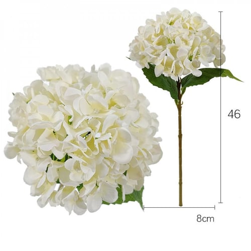 باقه ورد هيدرنجا