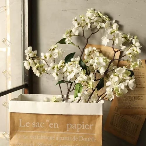 أزهار شجره الكرز.