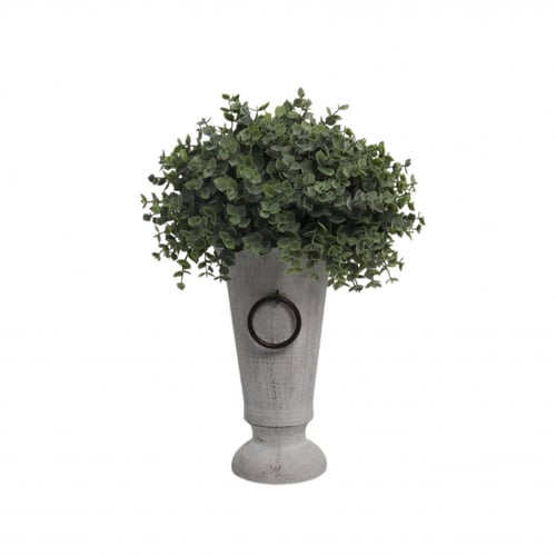 مركن أوراق شوكة الخريف