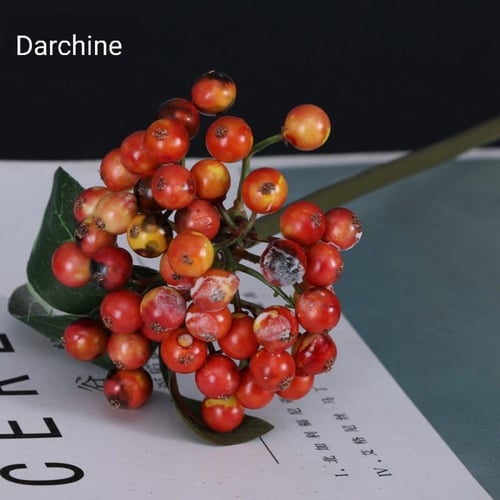 زهره التوت.