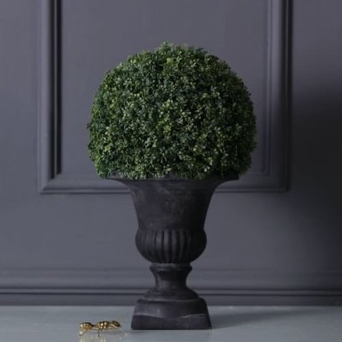 نبات توبياري صناعي في اناء اسود.