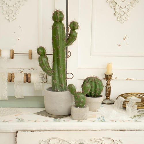 نبات صبار صناعي