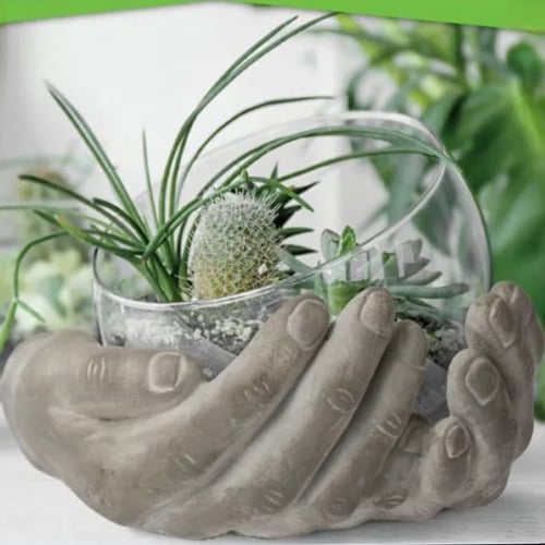 حوض نباتات و ازهار اسمنتي