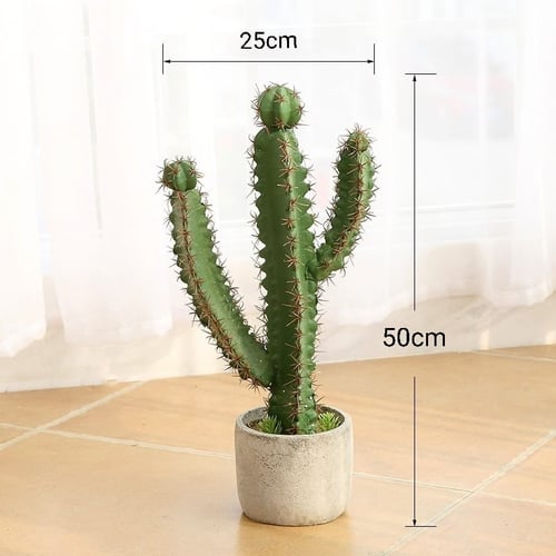 نبات صبار صناعي