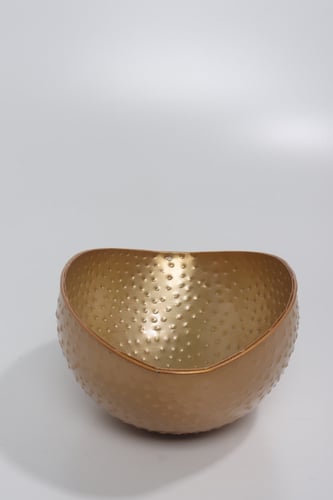 أحواض ورود و نباتات لون ذهبي.