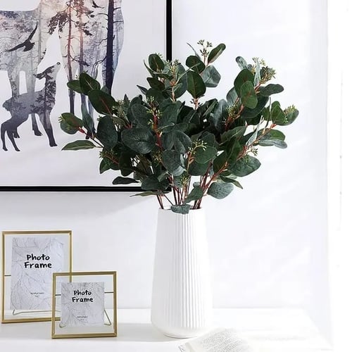 جذع أوراق الأوكالبتوس مع توت