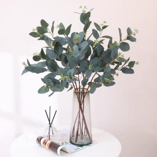 جذع أوراق الأوكالبتوس مع توت