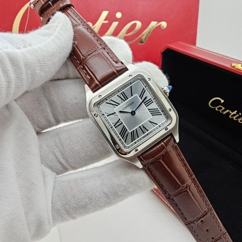 ساعه كارتير سانتوس دومو