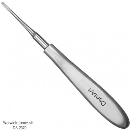 Root Elevator Warwick James Straight /DA-2370