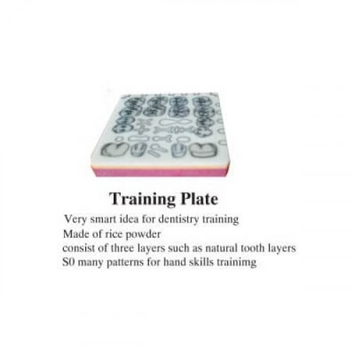 Teeth Training Board- XJ-F021