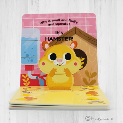 الكتب المجسمة - playing with pets