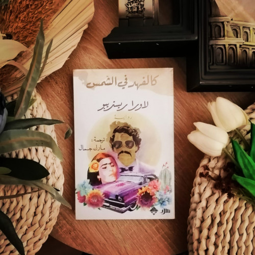 كالفهد في الشمس