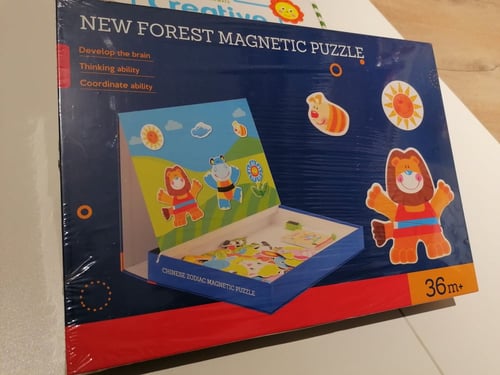 بزل مغناطيس