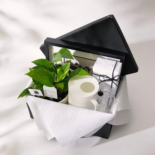 هدية البدايات الجديدة | New Beginnings Gift