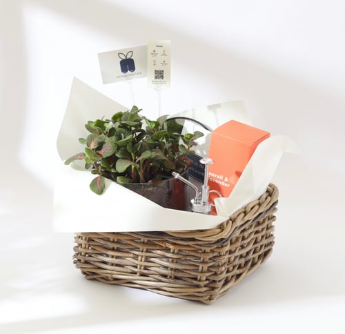 هدية البدايات الجديدة ‏New Beginnings Gift