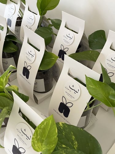 هدايا استقبال مولود ‏Welcome Little One