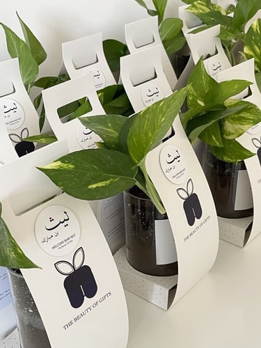 هدايا استقبال مولود ‏Welcome Little One