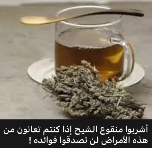 عشبة الشيح