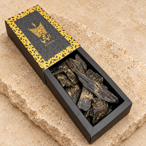 Klimantan Mohsen (broken incense burners)