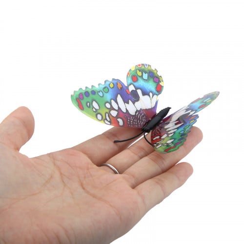 فراشة مغناطيس