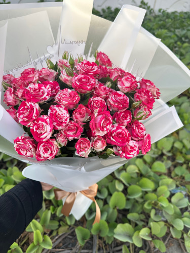 باقة بيبي روز