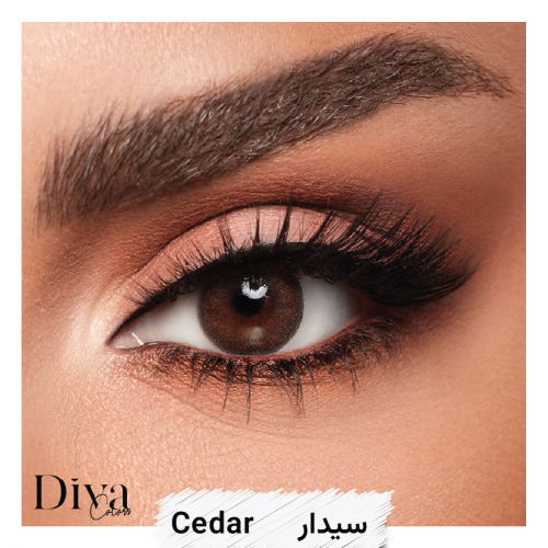 عدسات ديفا الشهرية - سيدار Cedar
