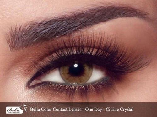 عدسات بيلا اليومية