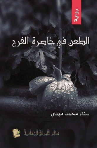 الطعن في خاصرة الفرح : رواية