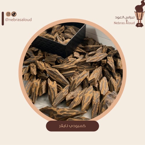 تايقر ملكي | Royal tiger