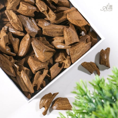 مروكي بيت النمل