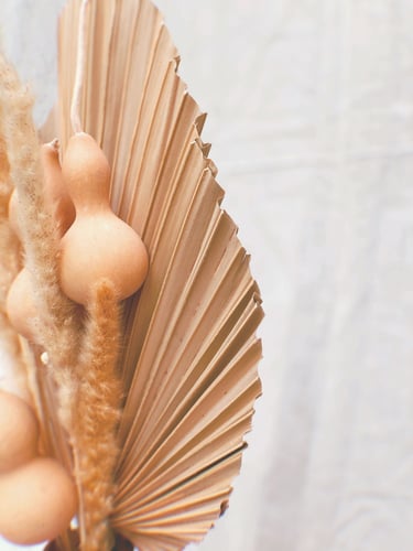 زهرة اليقطين مجموعة 5 اغصان