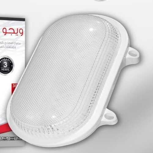كشاف سور بيضاوي خارجي شفاف 30 وات ويجو WEIJU صناعة...