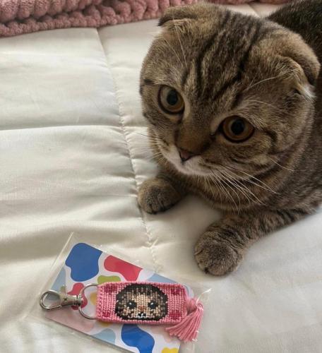ميدالية مخصصه (your cat )