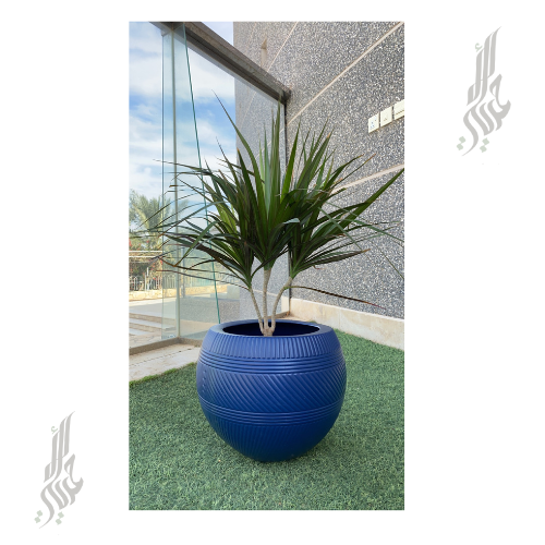 مركن دائري رويال مقاس 40 سم