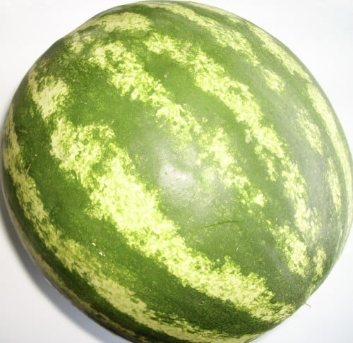 بذور بطيخ دائري ( 100 بذره )