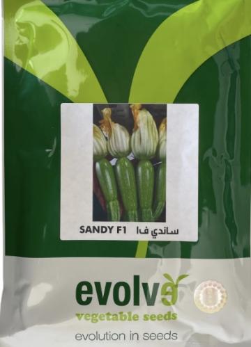 بذور كوسا ف 1 ( 40 بذره )