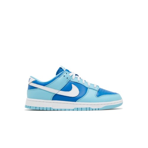 Nike Dunk Low Retro Argon