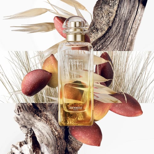 عطر ان قاردن سيثير من هرمس 100 مل Un Jardin à Cyth...