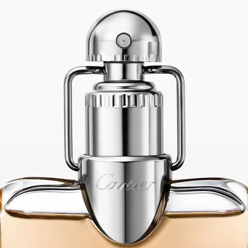 عطر كارتير ديكلاريشن ادو بارفيوم للرجال 100 مل Déc...