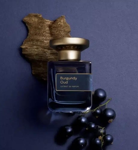 عطر أتيليه ماتيري بورقندي عود Burgundy Oud Atelier...