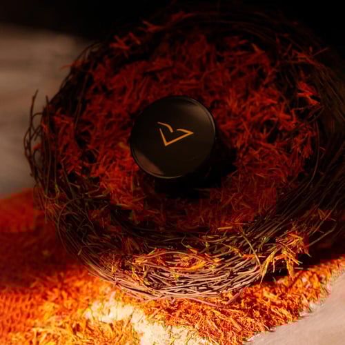 عطر انيكا فيرتوس 100 مل ANKA Vertus