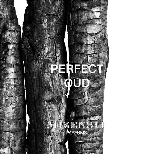 عطر ميزنسير بيرفكت عود اكستريت 100 مل Perfect Oud...