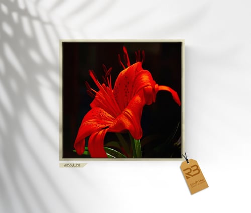 لوحة جدارية تصميم ورد (رقم المنتج RB-9-43)