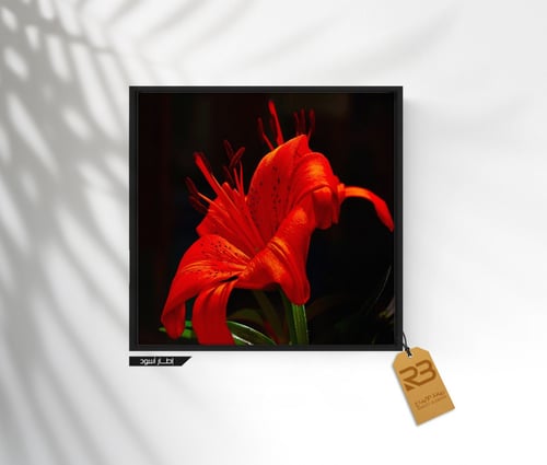 لوحة جدارية تصميم ورد (رقم المنتج RB-9-43)