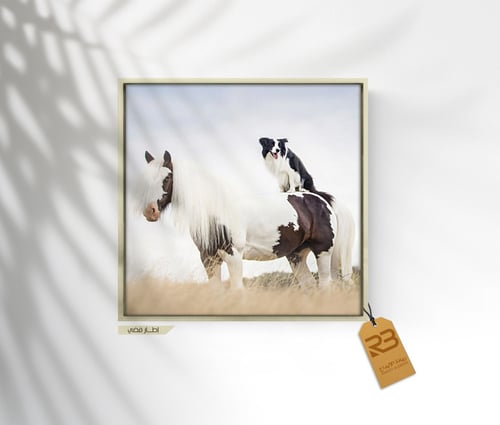 لوحة جدارية تصميم خيل (رقم المنتج RB-7-37)