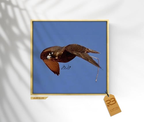 لوحة جدارية صقر طائر (رقم المنتج RB-23-5 )