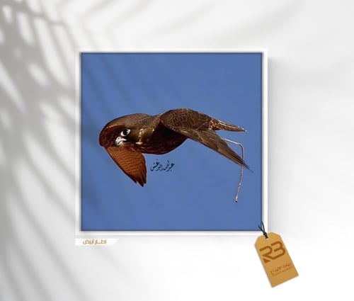 لوحة جدارية صقر طائر (رقم المنتج RB-23-5 )