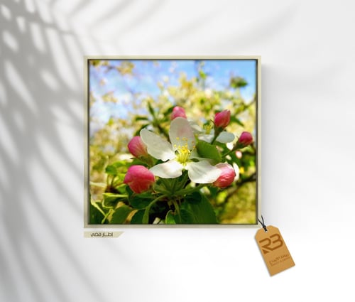 لوحة جدارية تصميم ورد (رقم المنتج RB-7-58)