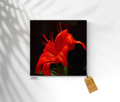 لوحة جدارية تصميم ورد (رقم المنتج RB-9-43)