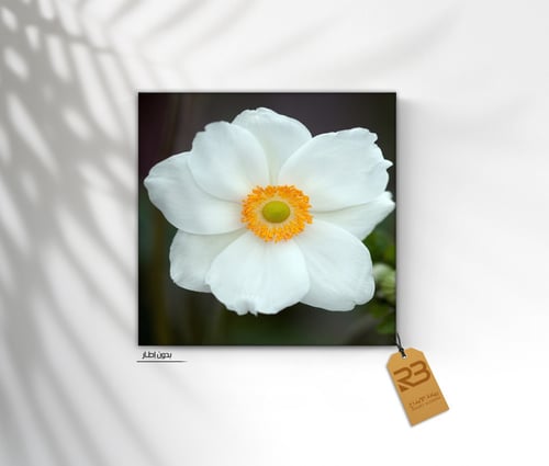 لوحة جدارية تصميم ورد (رقم المنتج RB-7-44)